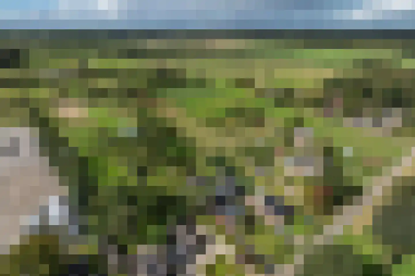 Vlintweg 28 Valthe thumbnail 67
