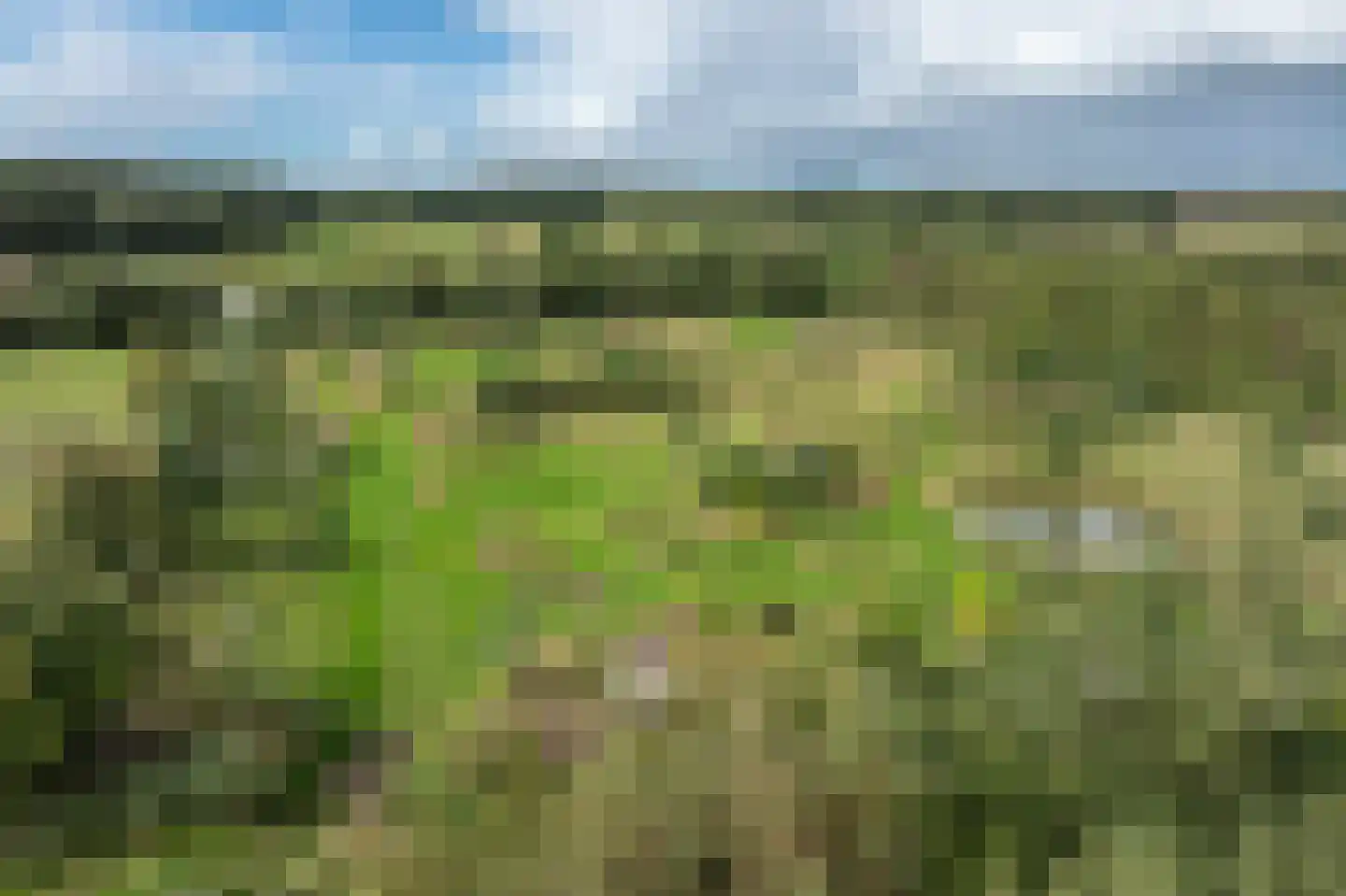 Vlintweg 28 Valthe thumbnail 79