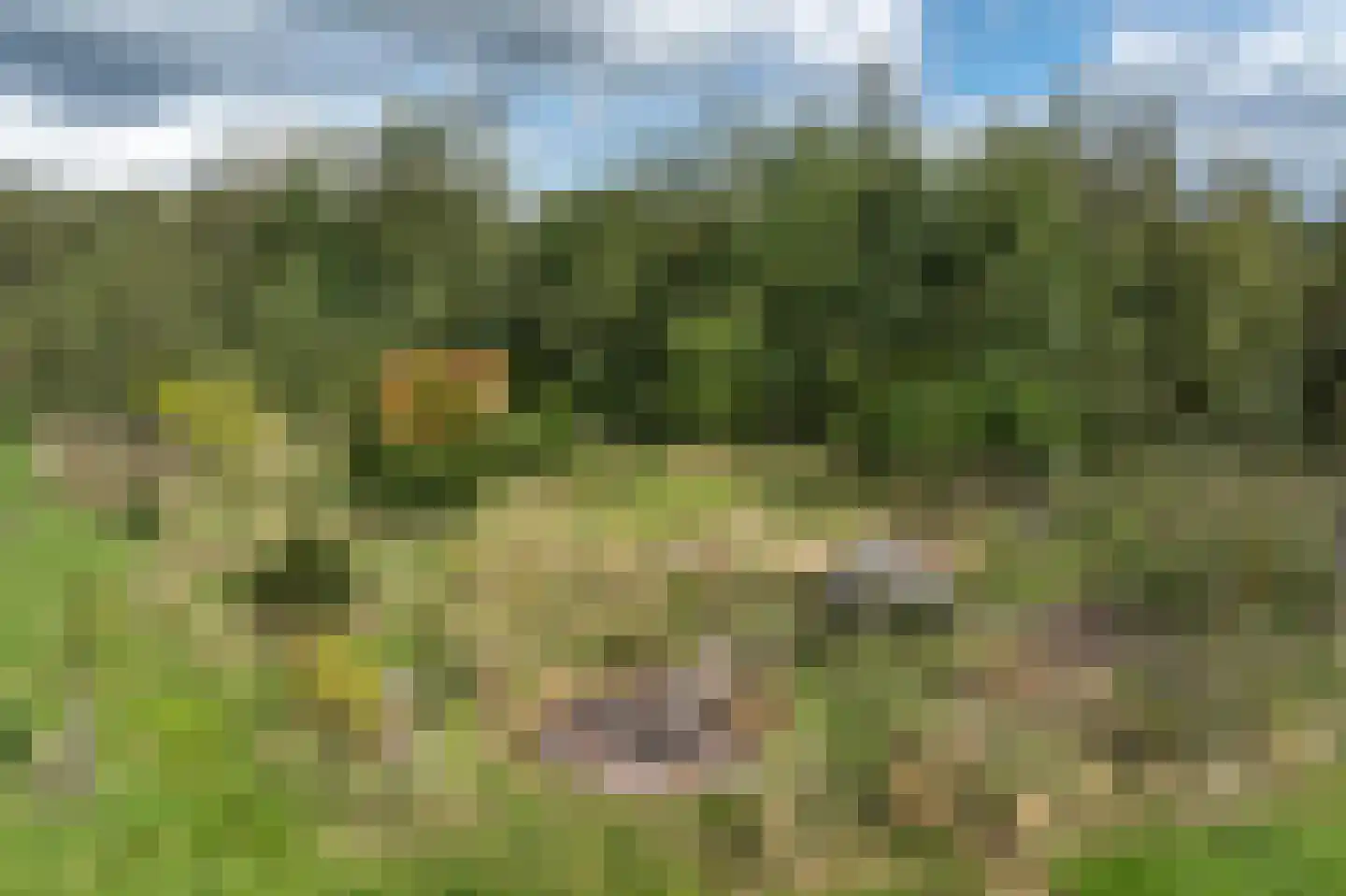 Vlintweg 28 Valthe thumbnail 81