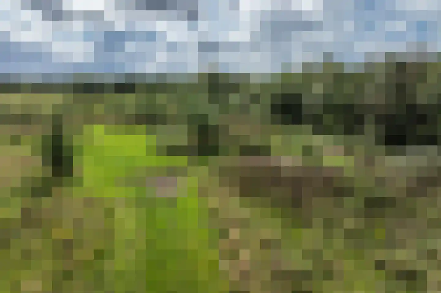Vlintweg 28 Valthe thumbnail 83