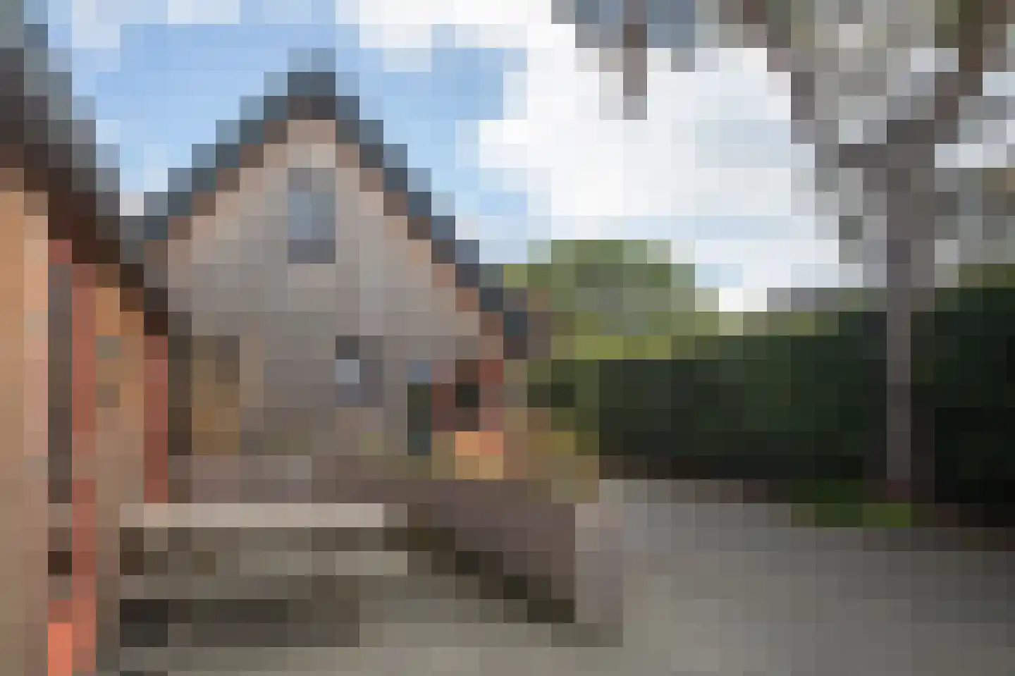 Vlintweg 28 Valthe thumbnail 96