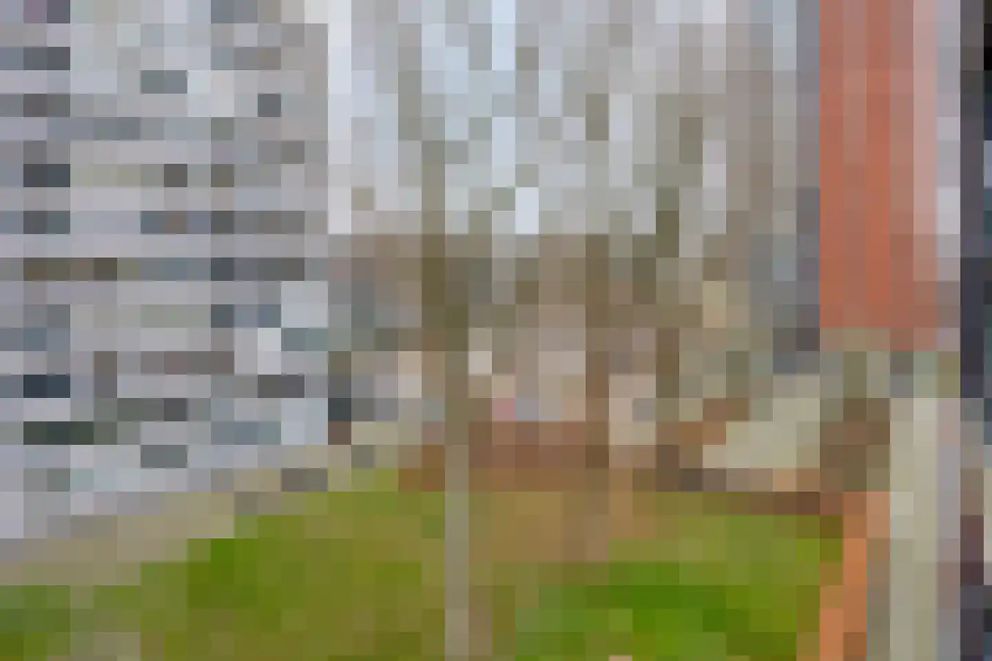 Vlissingenplein 131 Rotterdam thumbnail 28