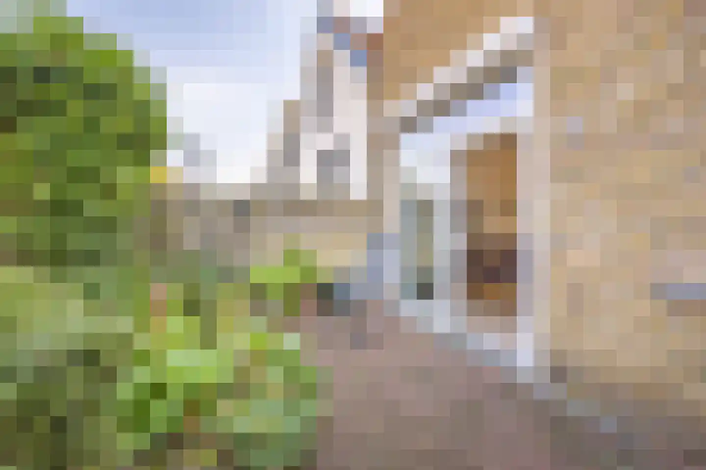 Vlissingse Molenstraat 18 Middelburg thumbnail 33