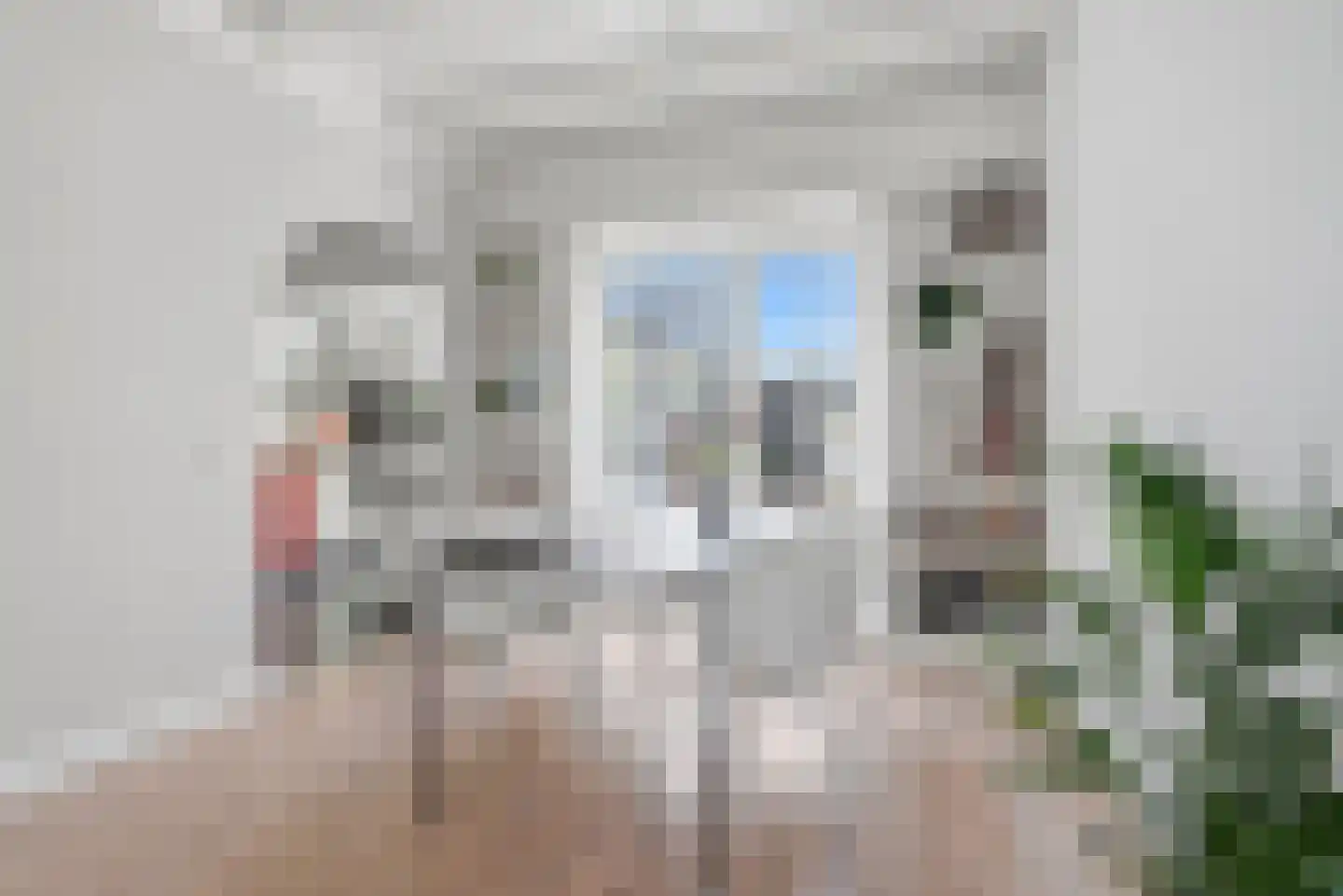 Vlissingse Molenstraat 26 Middelburg thumbnail 8