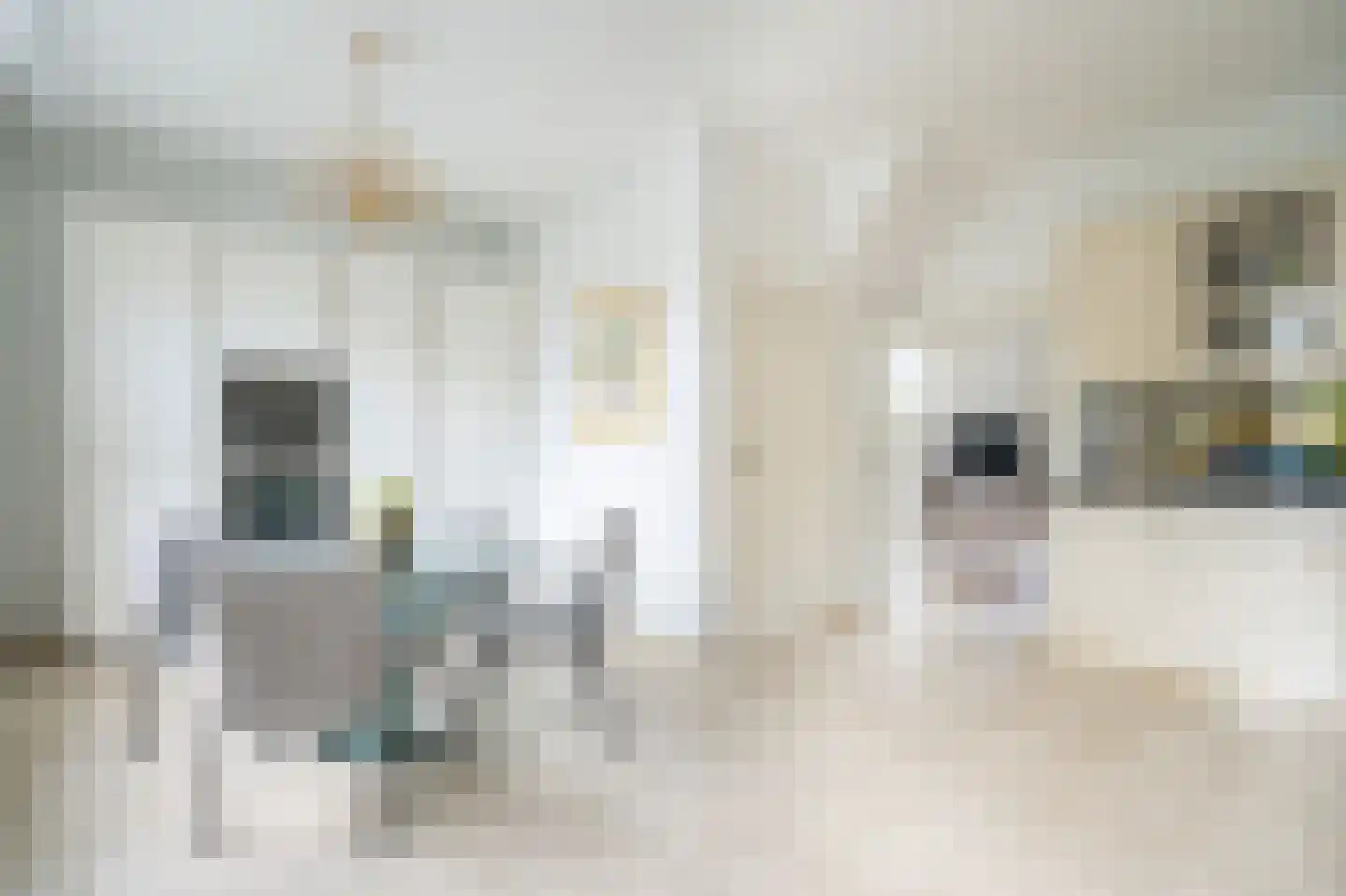 Vlissingsestraat 2 Eck en Wiel thumbnail 11