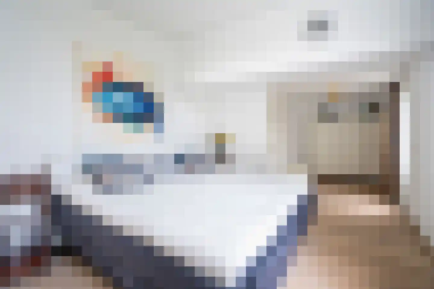 Vlissingsestraat 2 Eck en Wiel thumbnail 13