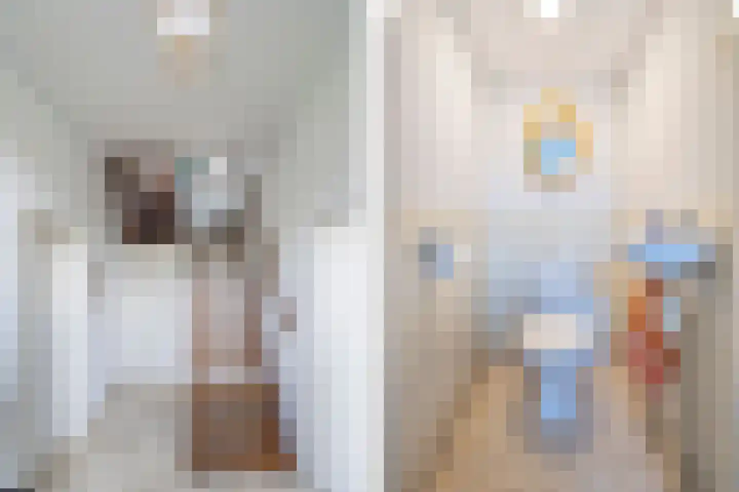 Vlissingsestraat 2 Eck en Wiel thumbnail 18