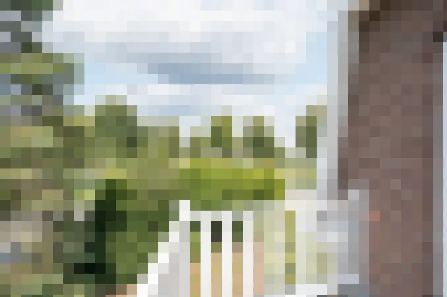 Vlissingsestraat 2 Eck en Wiel thumbnail 25