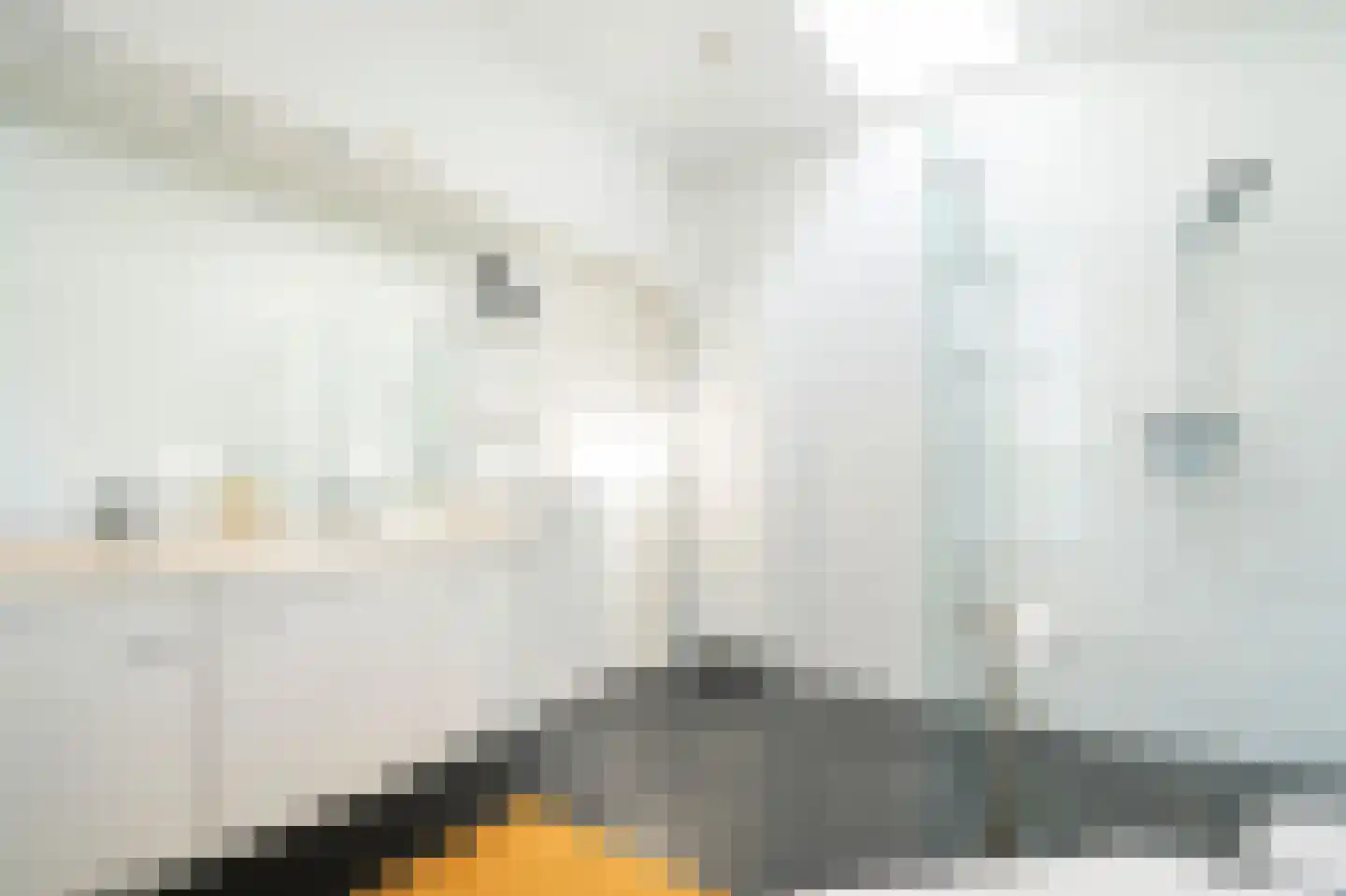 Vlissingsestraat 2 Eck en Wiel thumbnail 32