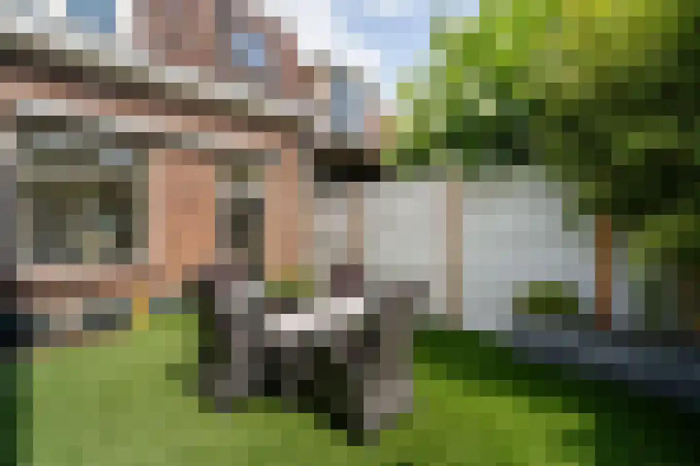 Vlissingsestraat 2 Eck en Wiel thumbnail 38