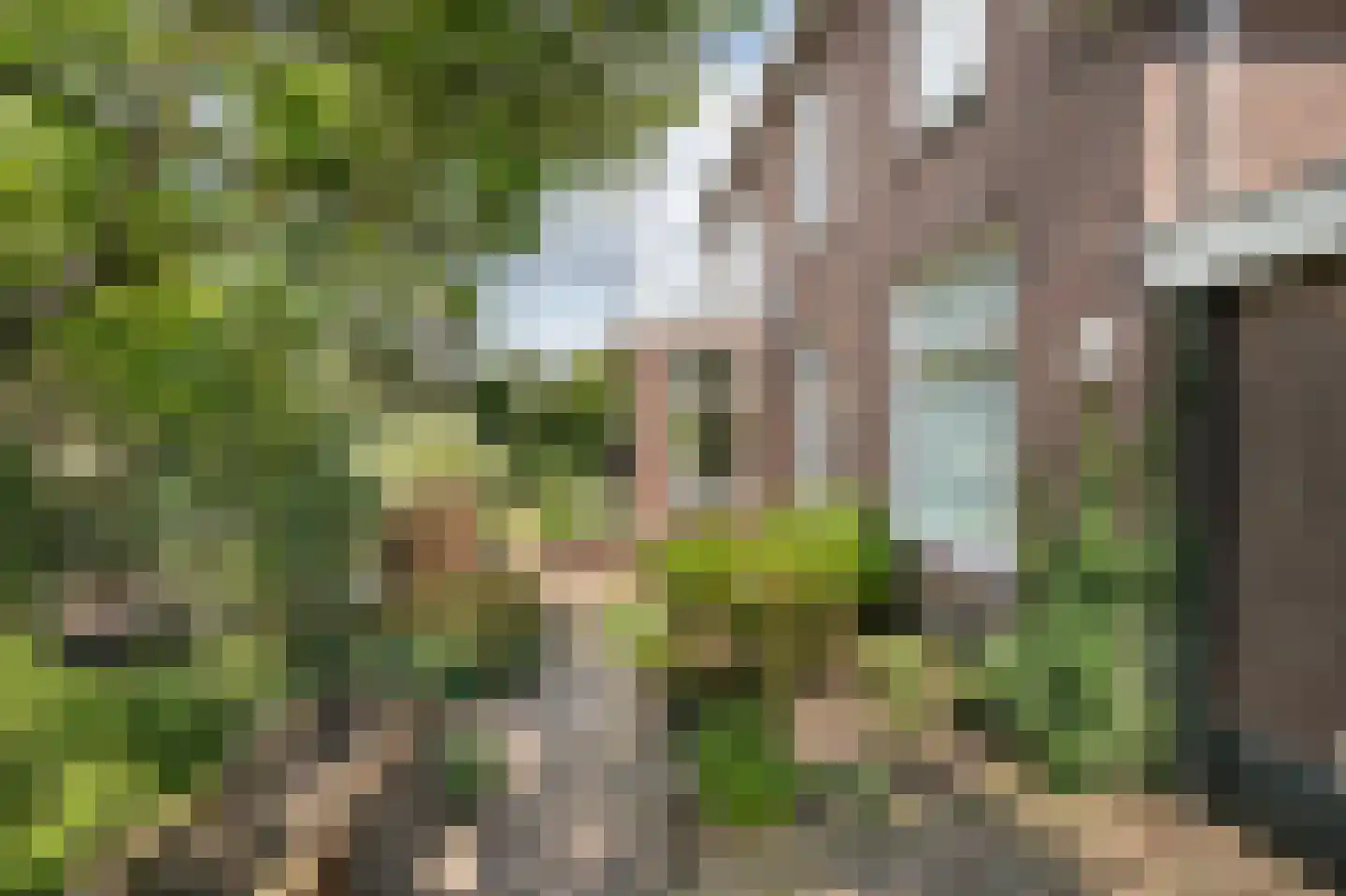 Vlissingsestraat 2 Eck en Wiel thumbnail 42