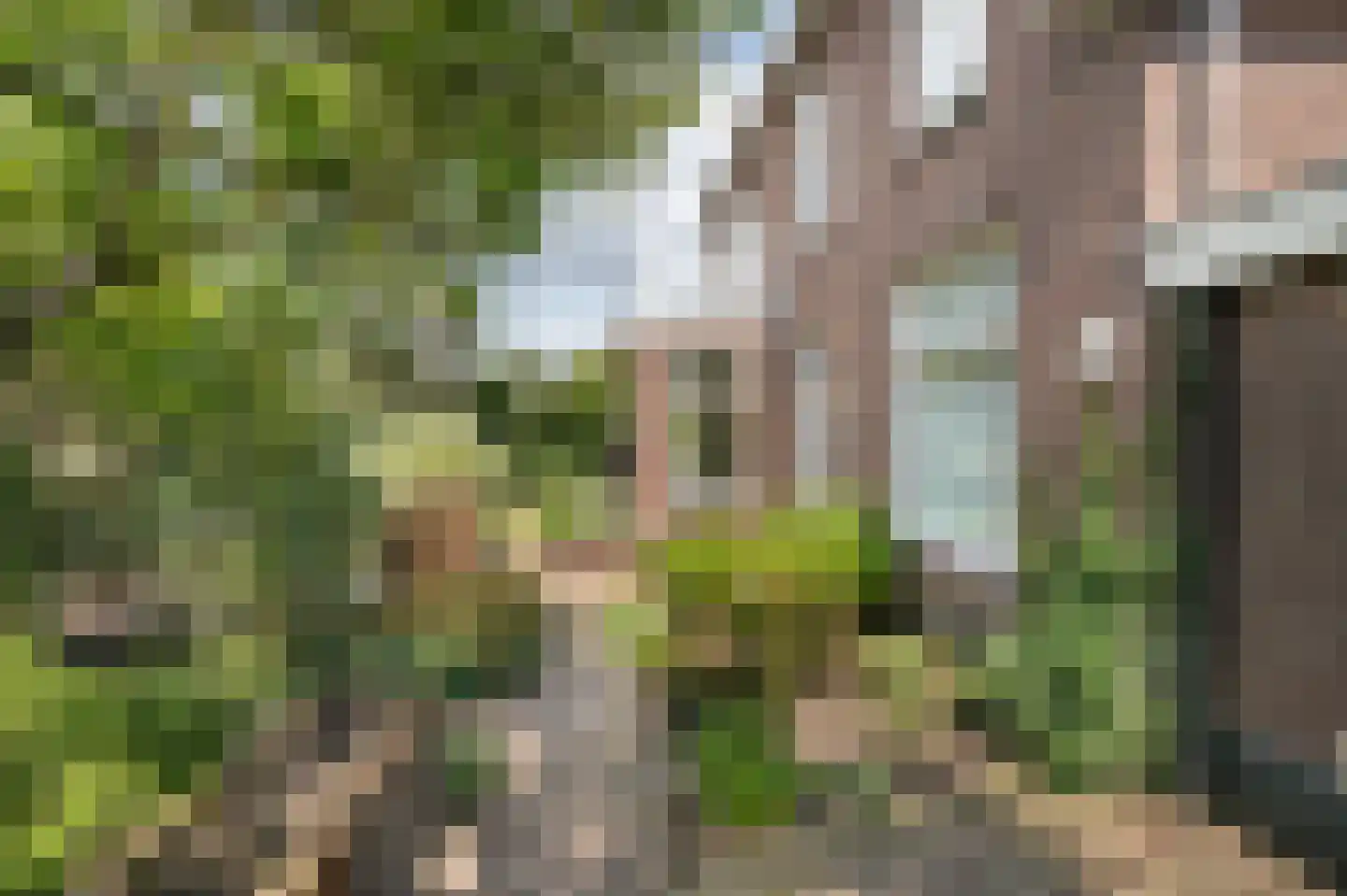 Vlissingsestraat 2 Eck en Wiel thumbnail 43