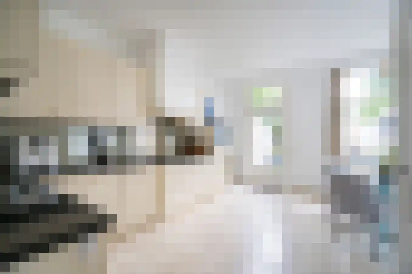 Vlissingsestraat 2 Eck en Wiel thumbnail 9