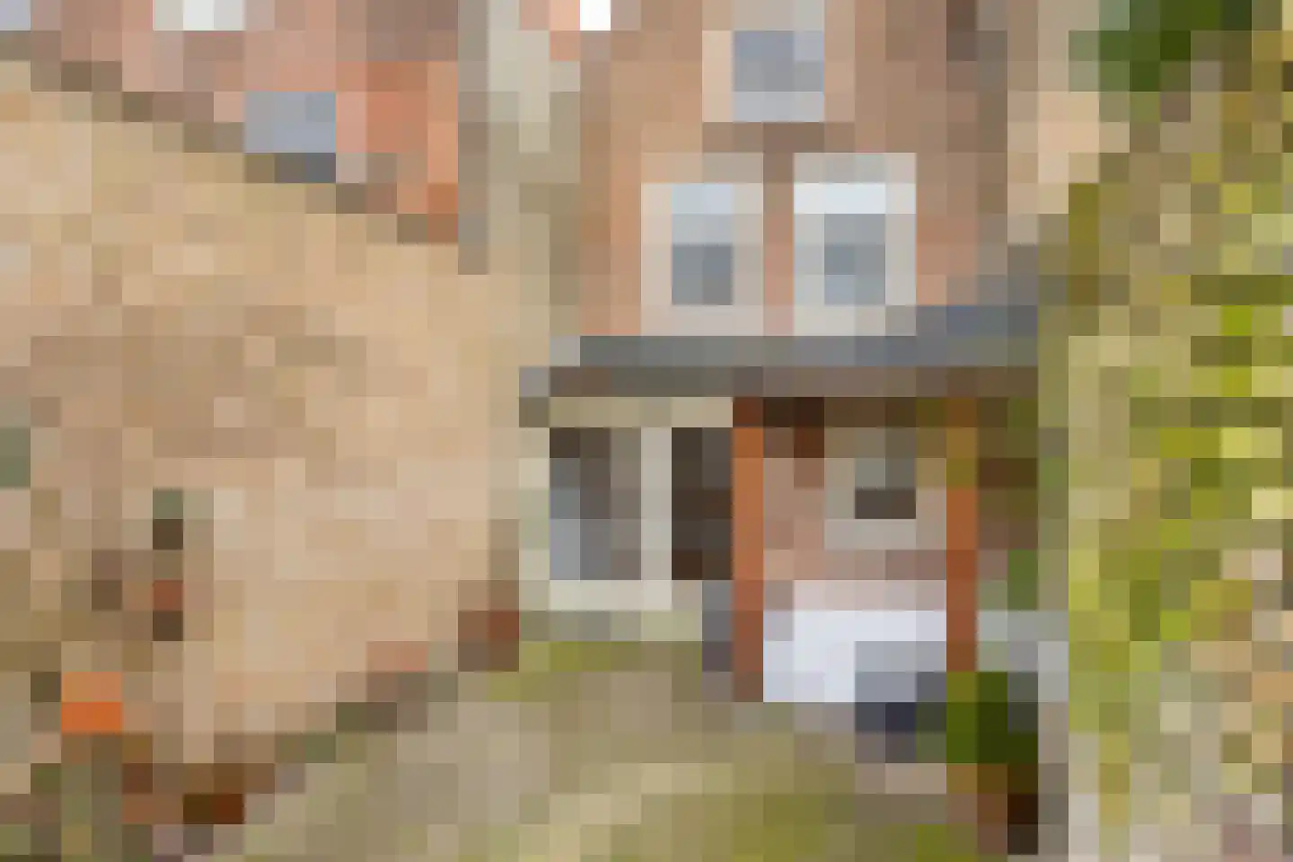 Vlissingsestraat 42 Middelburg thumbnail 18
