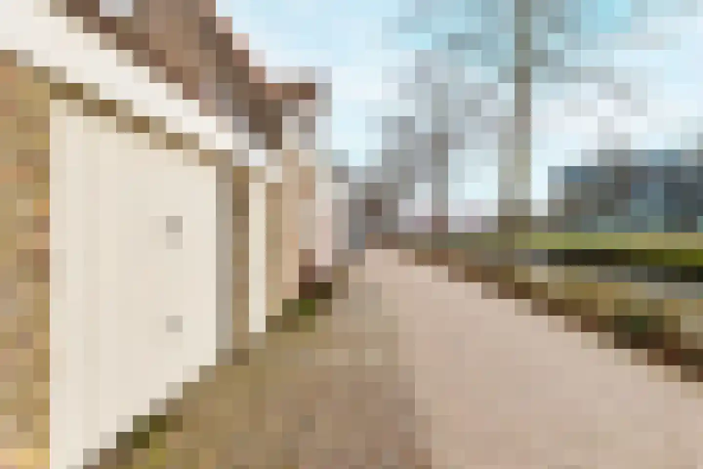Vlissingsestraat 42 Middelburg thumbnail 22
