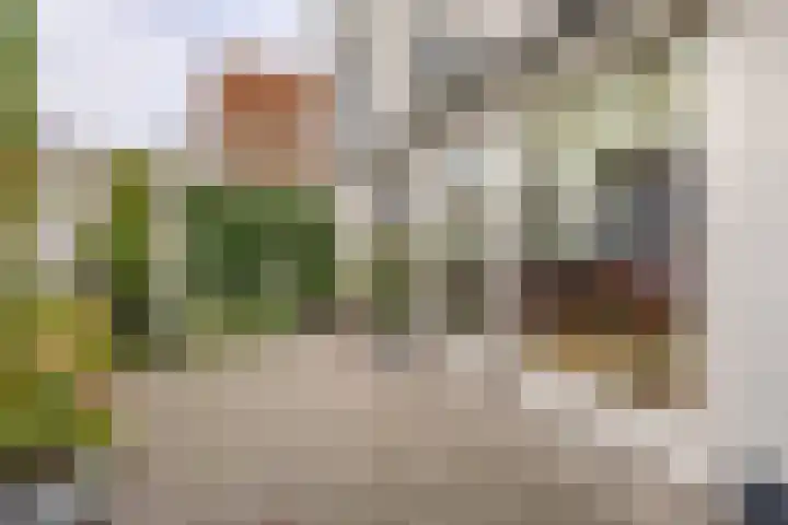 Vlissingsestraat 56 Middelburg thumbnail 17