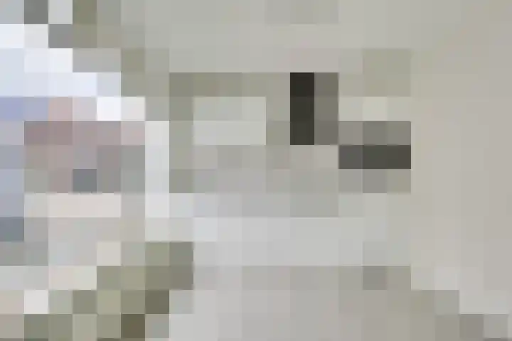 Vlisthof 9 Utrecht thumbnail 14