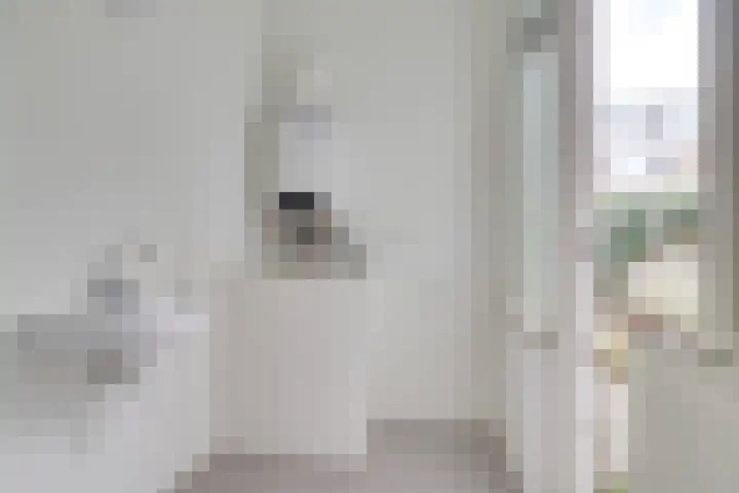 Vlisthof 9 Utrecht thumbnail 21