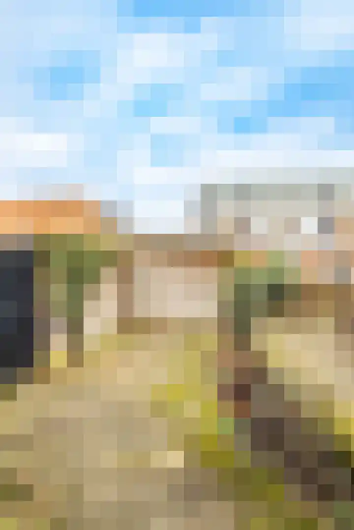 Vlisthof 9 Utrecht thumbnail 27