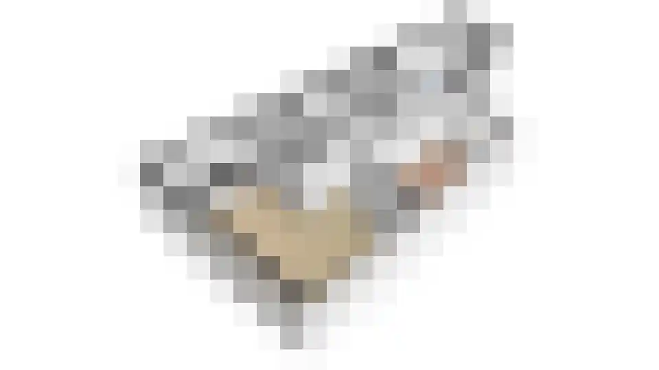 Vlisthof 9 Utrecht thumbnail 59