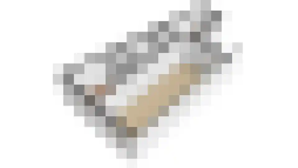 Vlisthof 9 Utrecht thumbnail 62