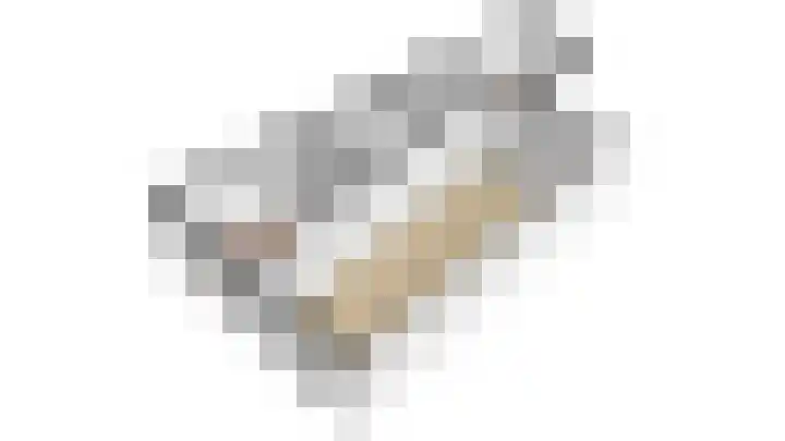 Vlisthof 9 Utrecht thumbnail 62