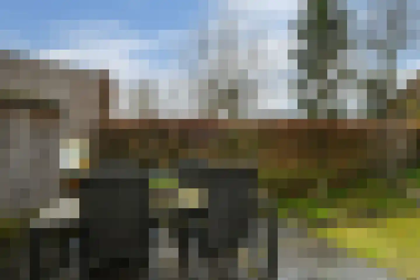 Vliststraat 17 Eindhoven thumbnail 24