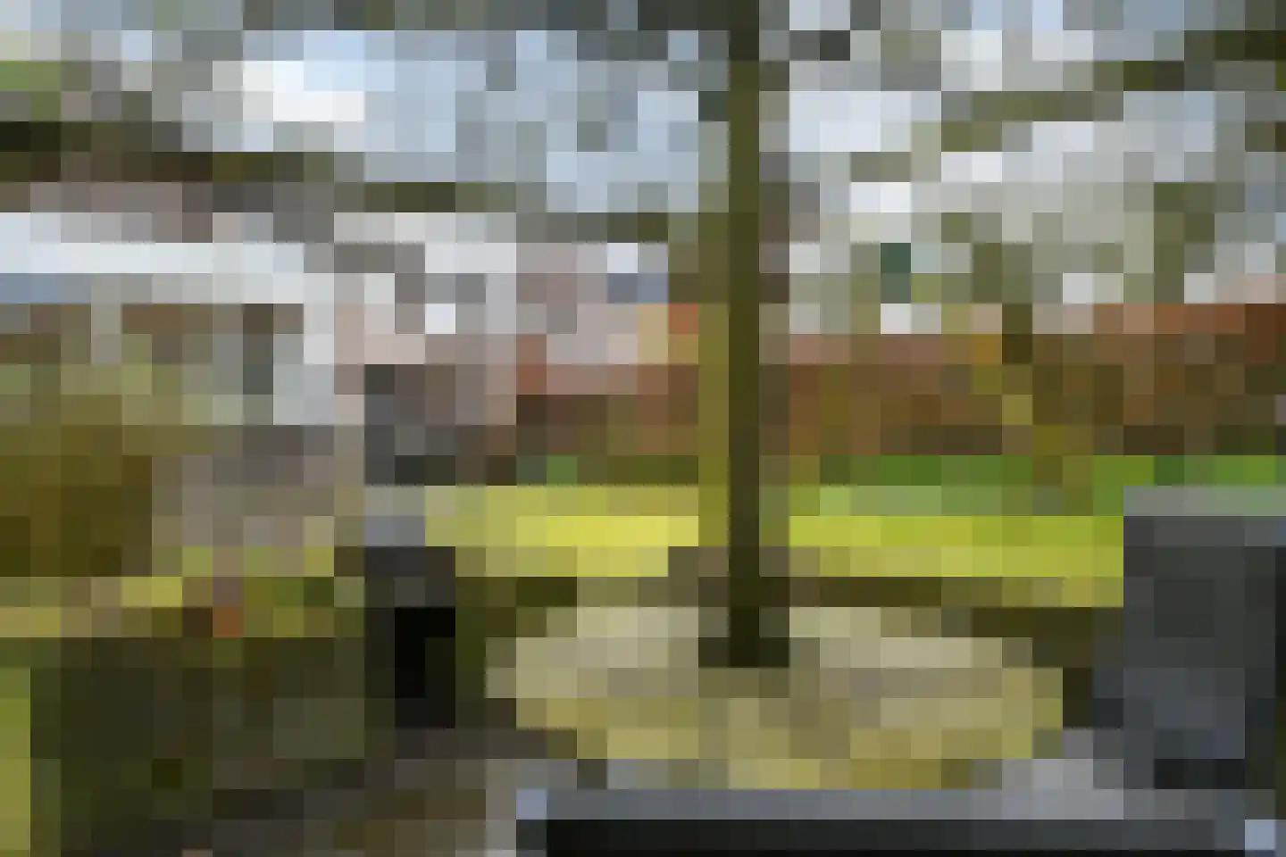 Vliststraat 17 Eindhoven thumbnail 28