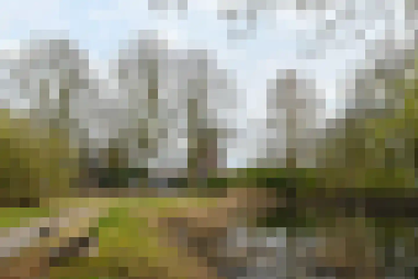 Vliststraat 17 Eindhoven thumbnail 34