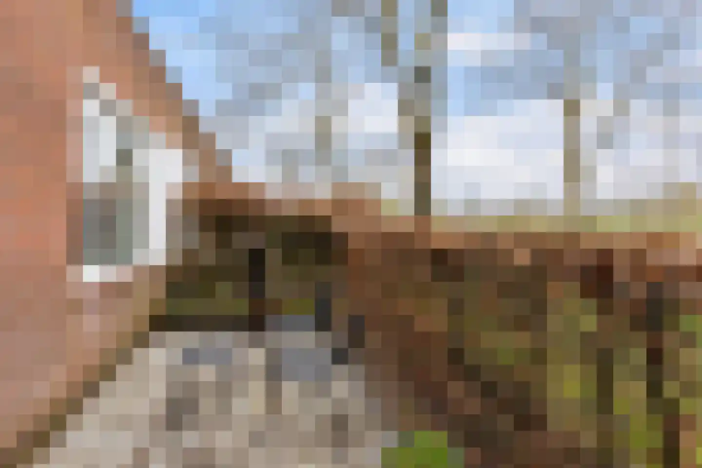 Vliststraat 2 Apeldoorn thumbnail 23