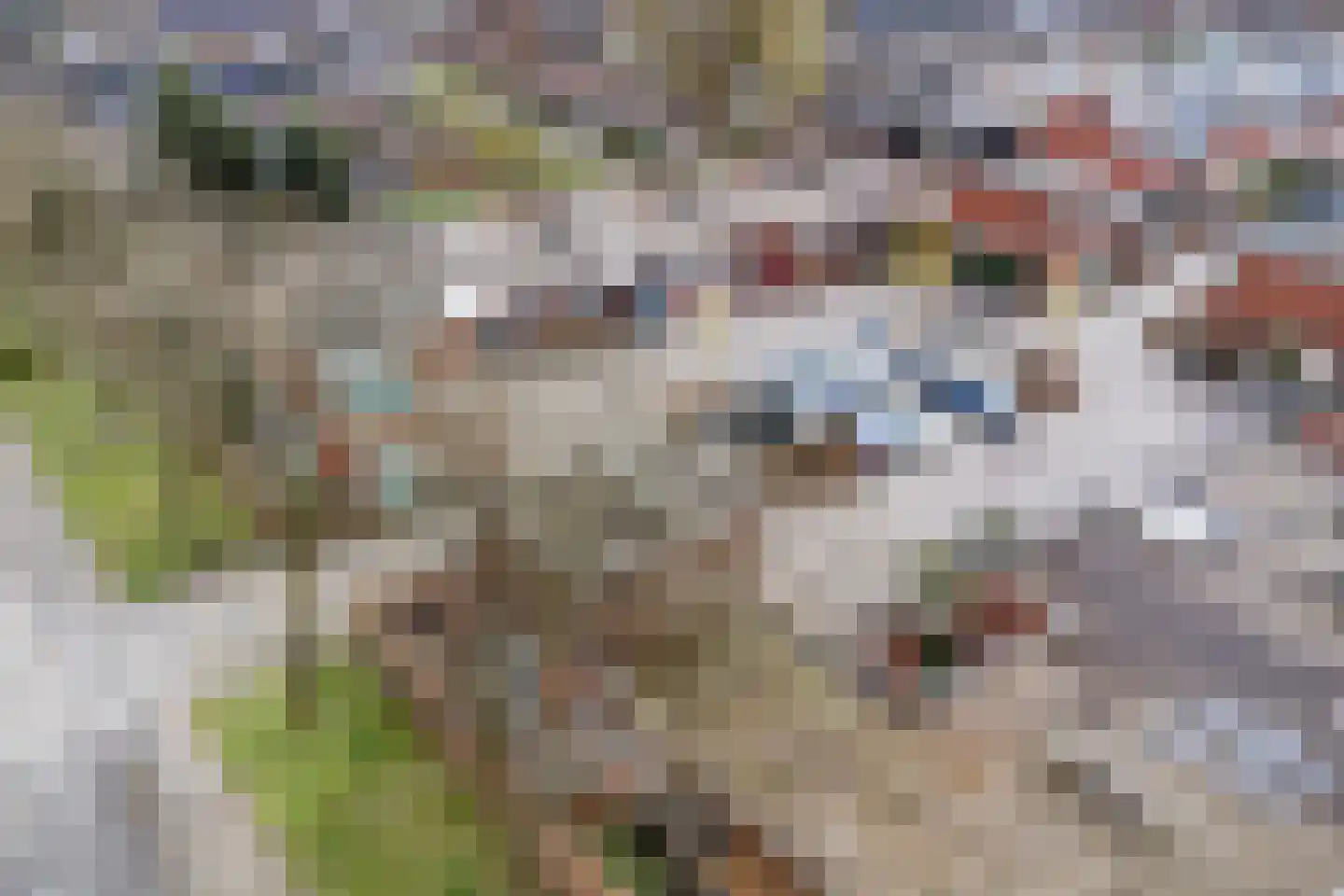 Vliststraat 2 Apeldoorn thumbnail 33