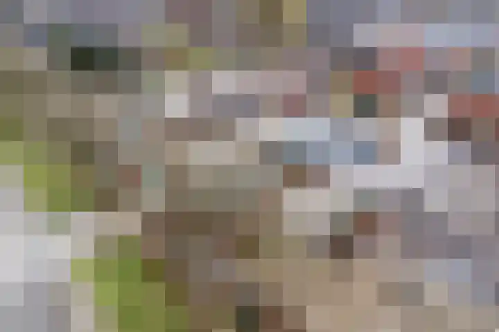 Vliststraat 2 Apeldoorn thumbnail 33