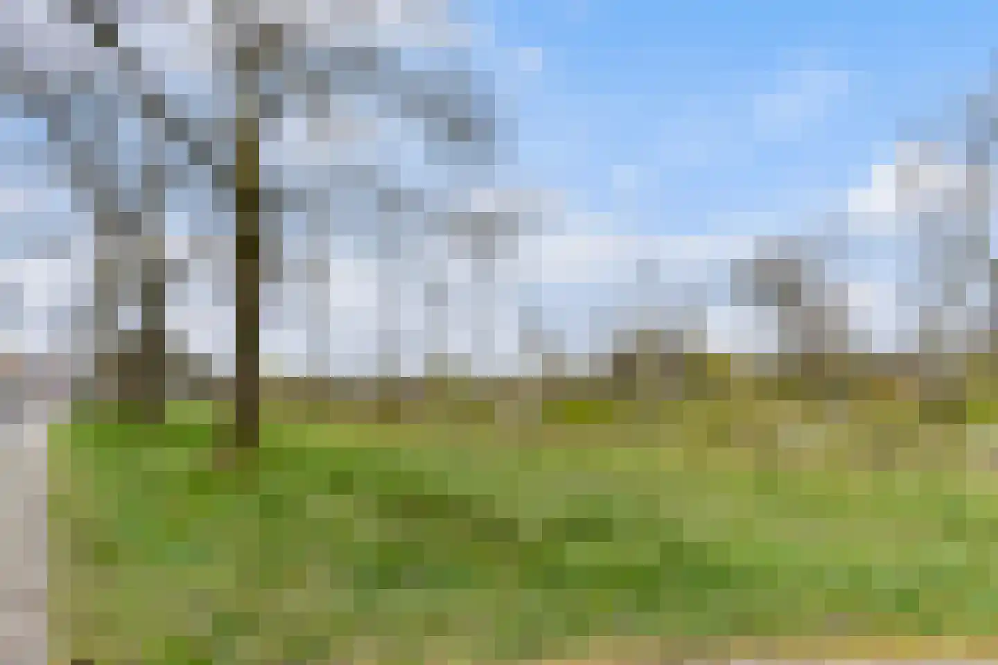Vliststraat 2 Apeldoorn thumbnail 36