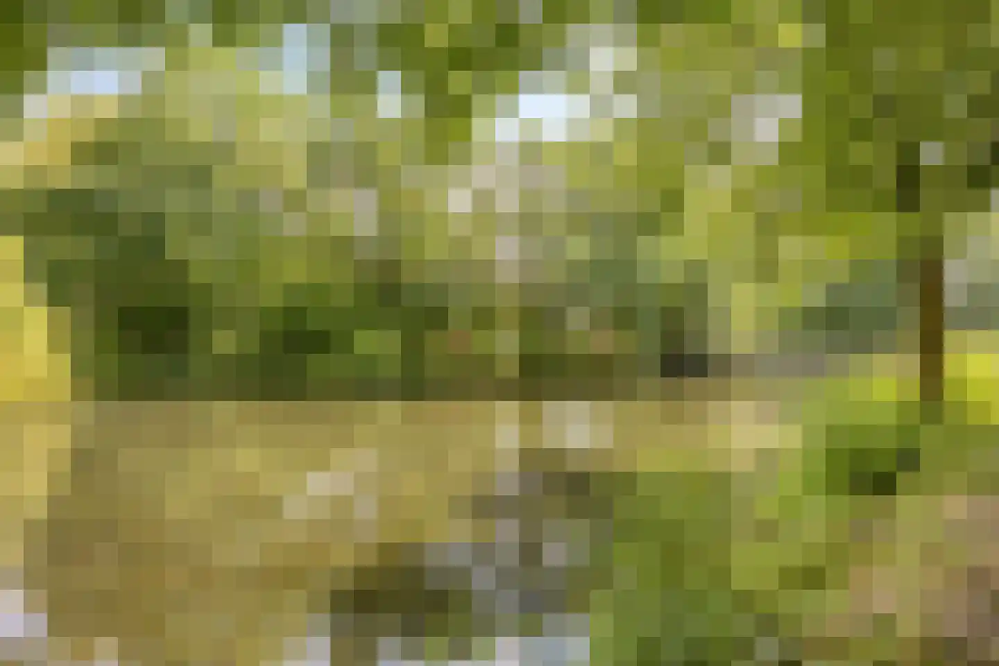 Vliststraat 39 Eindhoven thumbnail 37