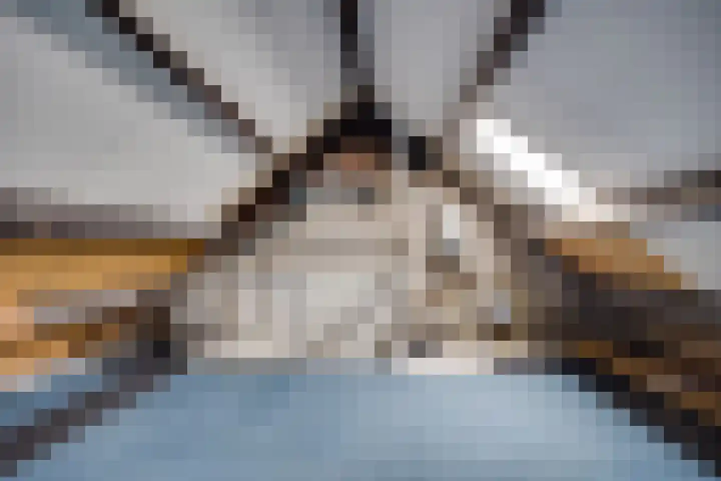 Vlistwijk 7 Leusden thumbnail 25