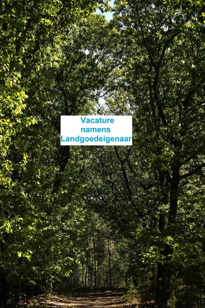 Kantoor foto van VLNN Makelaars