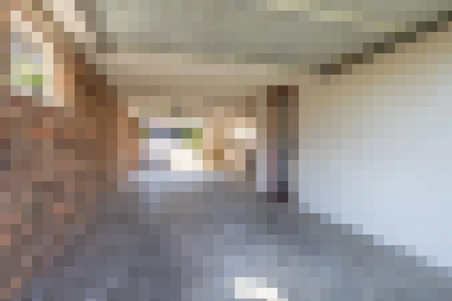 Vlodropperweg 1 Posterholt thumbnail 20