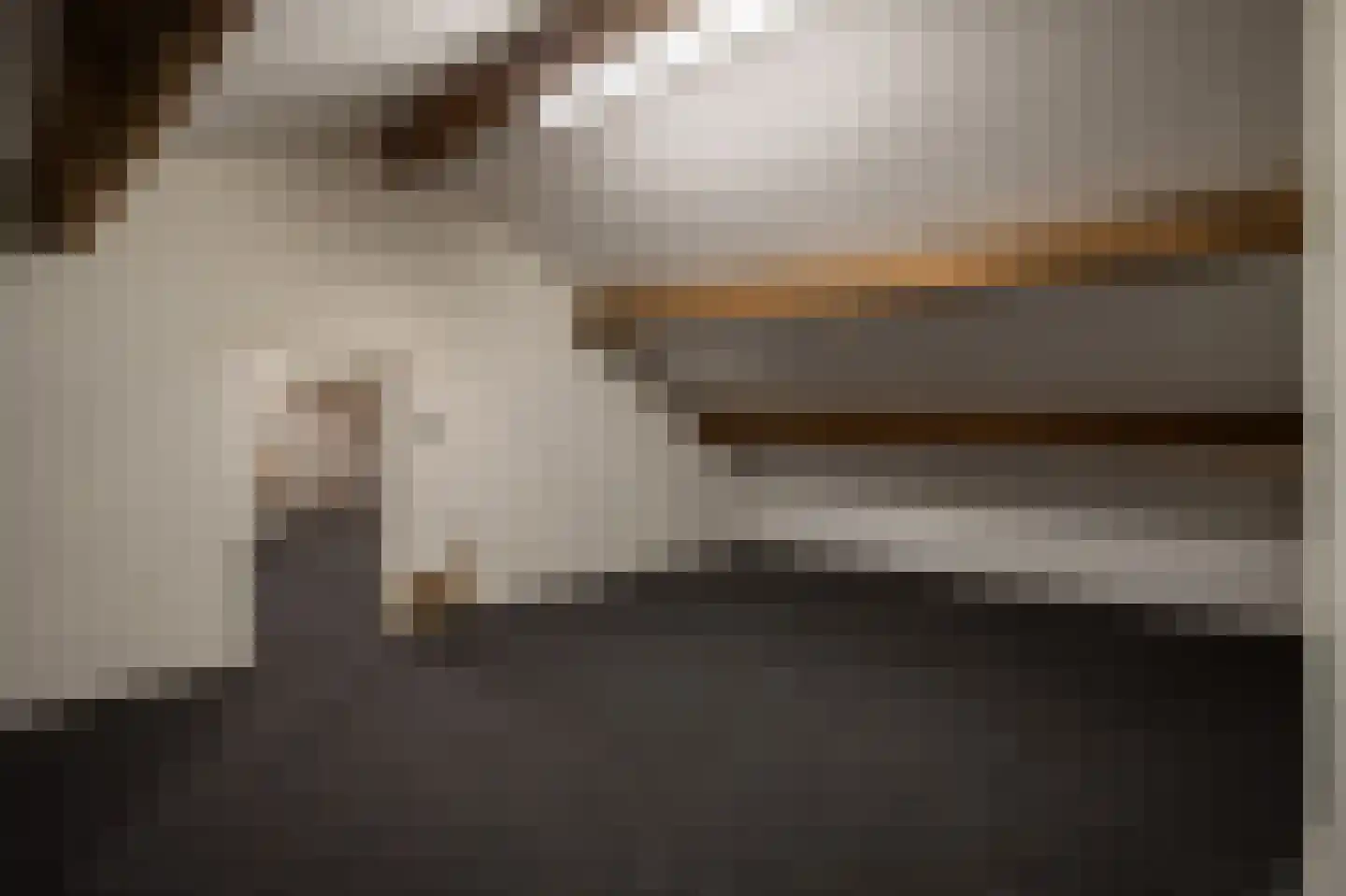 Vlodropperweg 1 Posterholt thumbnail 25