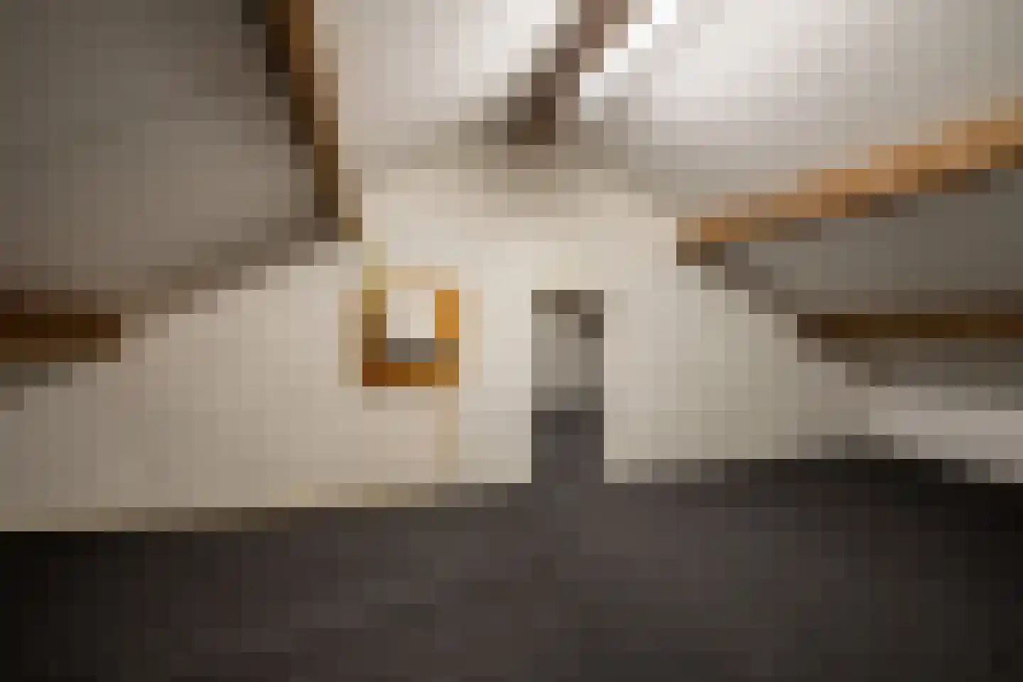 Vlodropperweg 1 Posterholt thumbnail 27