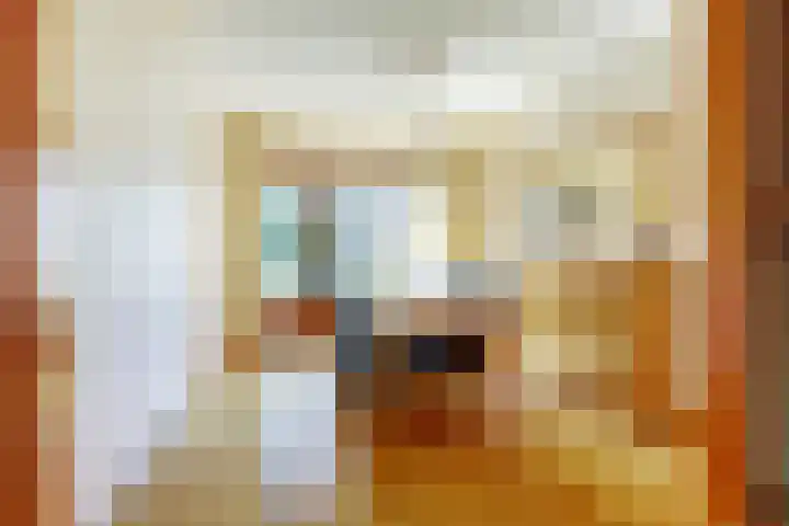 Vlodropstraat 27 Maasbree thumbnail 11