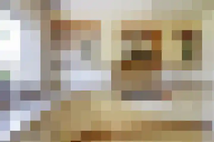 Vlodropstraat 27 Maasbree thumbnail 14