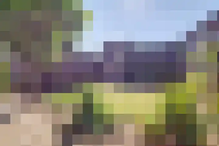 Vlodropstraat 27 Maasbree thumbnail 27