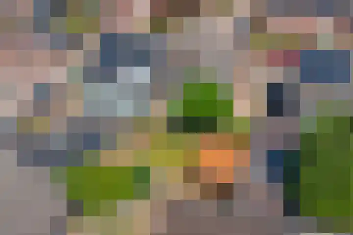 Vlodropstraat 27 Maasbree thumbnail 28