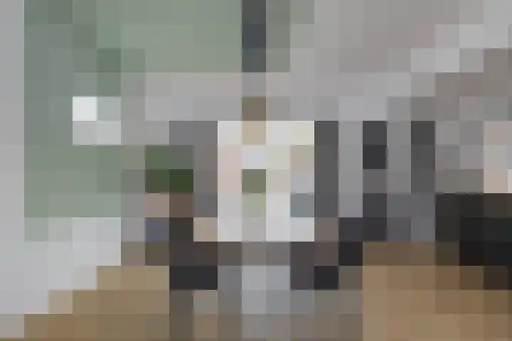 Vlodropstraat 4 Maasbree thumbnail 7