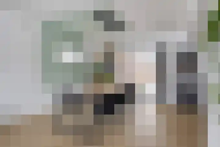 Vlodropstraat 4 Maasbree thumbnail 9