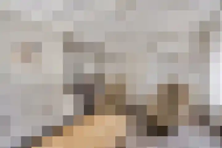 Vlodropstraat 6 Maasbree thumbnail 11