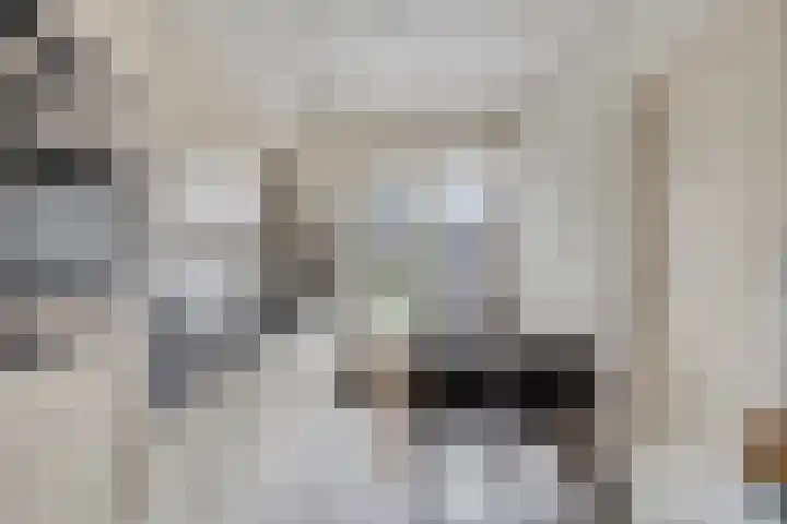 Vlodropstraat 6 Maasbree thumbnail 18