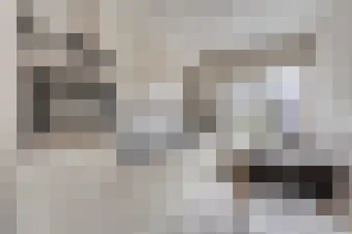Vlodropstraat 6 Maasbree thumbnail 19