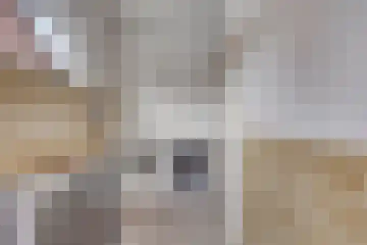 Vlodropstraat 6 Maasbree thumbnail 21