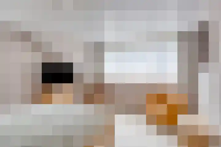 Vlodropstraat 6 Maasbree thumbnail 23